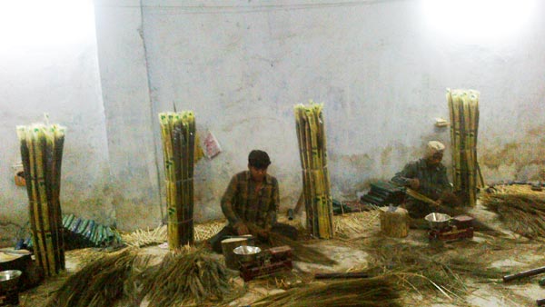 Manufacturers Exporters and Wholesale Suppliers of Grass Broom Guwahati Assam